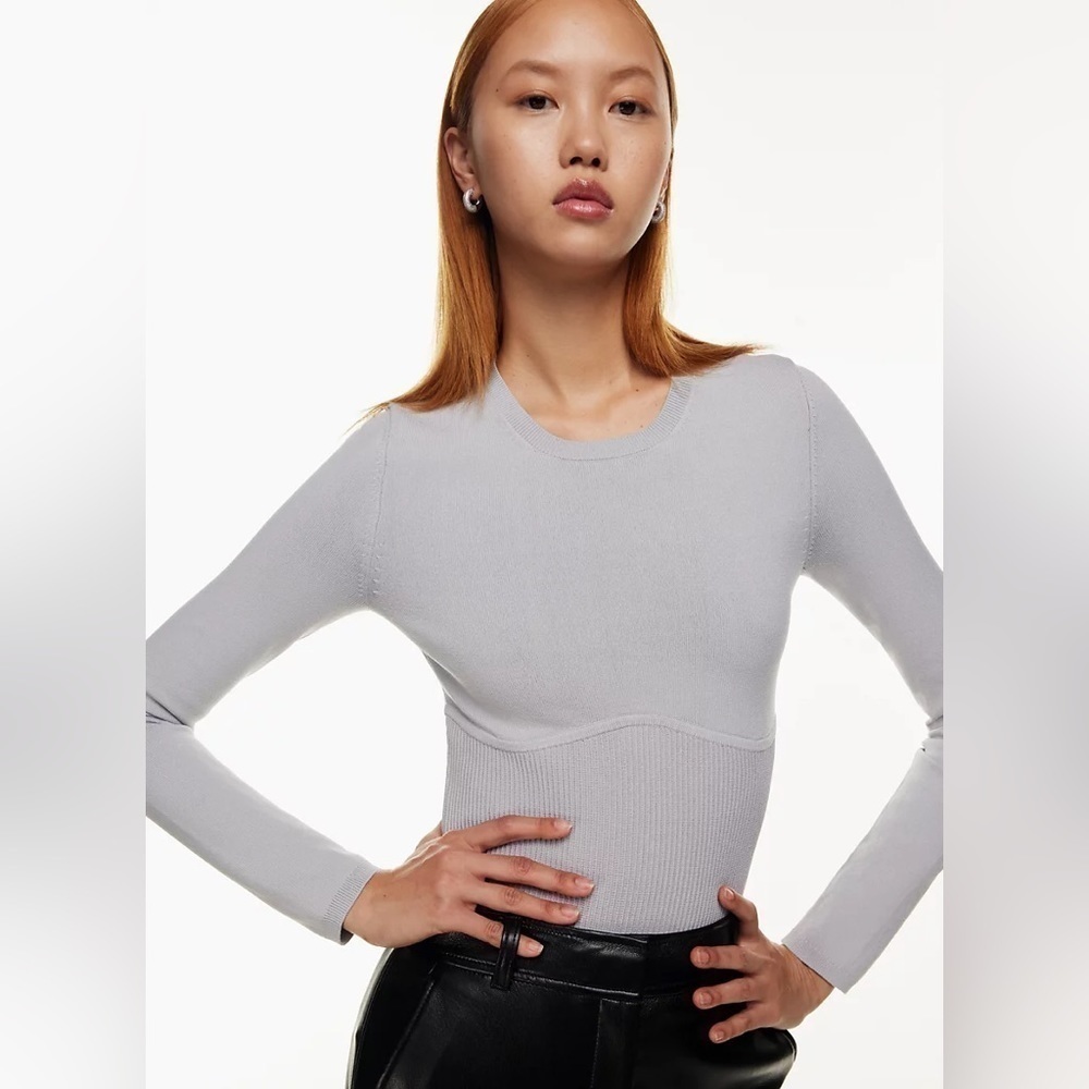 Aritzia Babaton Sculpt Knit Empire Longsleeve